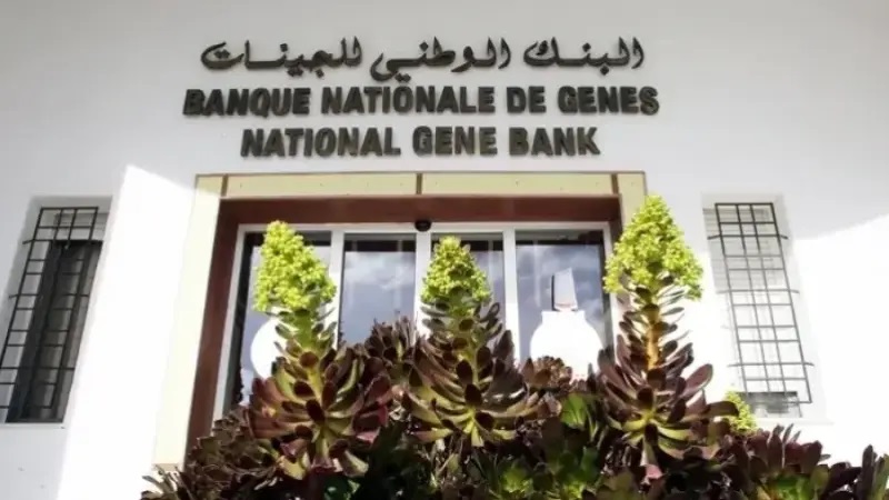 Limogeage de Ramzi Chaabane, directeur général de la Banque des gènes