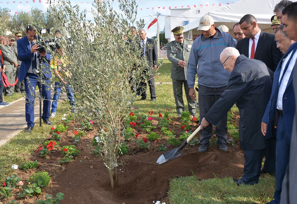 Beji Caid Essebsi plante un olivier à l’occasion de la fête nationale de l’arbre