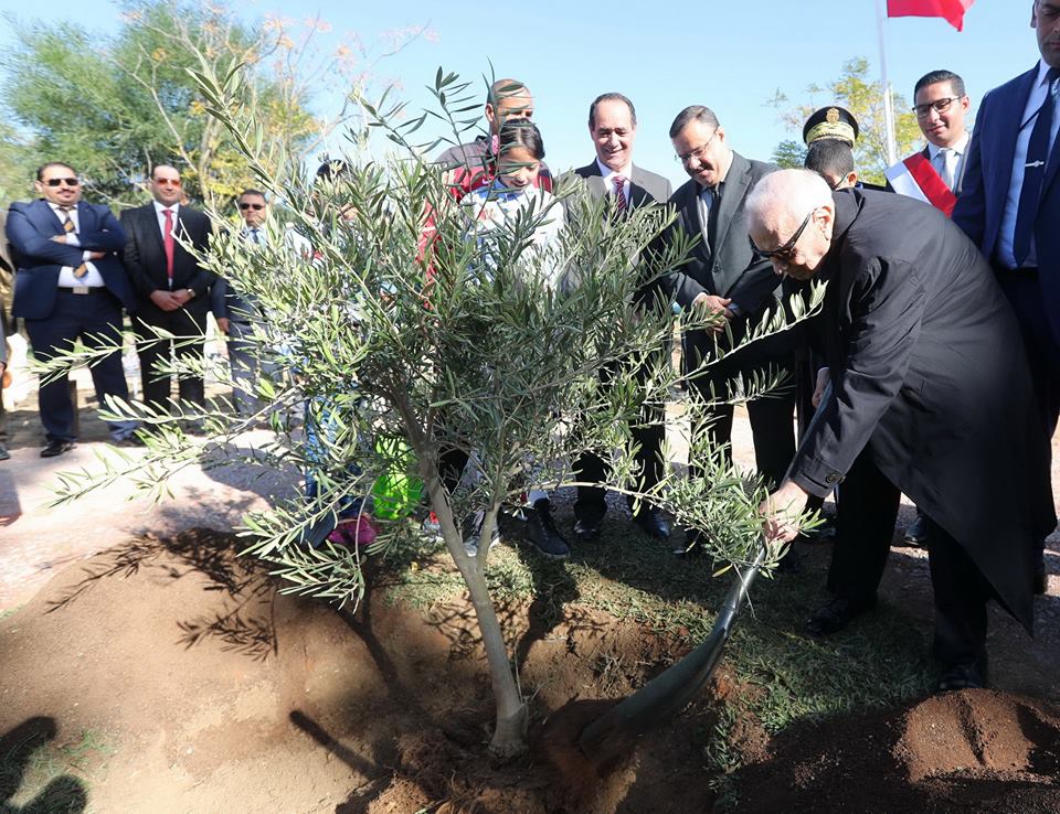 Fête de l’arbre : BCE donne le coup d’envoi du programme de reboisement