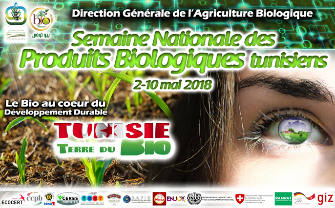 La Tunisie "Terre du BIO" sème l’authentique et récolte la reconnaissance internationale