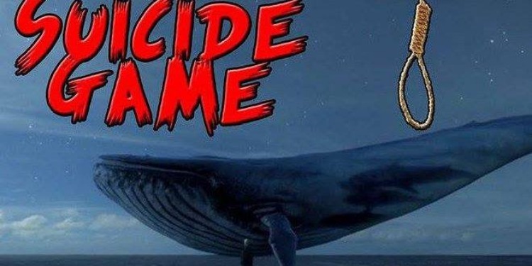 Tataouine : une autre victime de la Baleine Bleue
