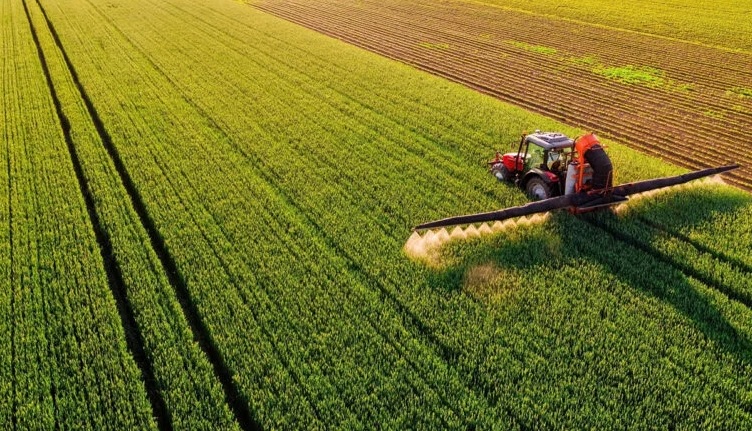 Campagne céréalière: 991 mille hectares emblavés en Tunisie