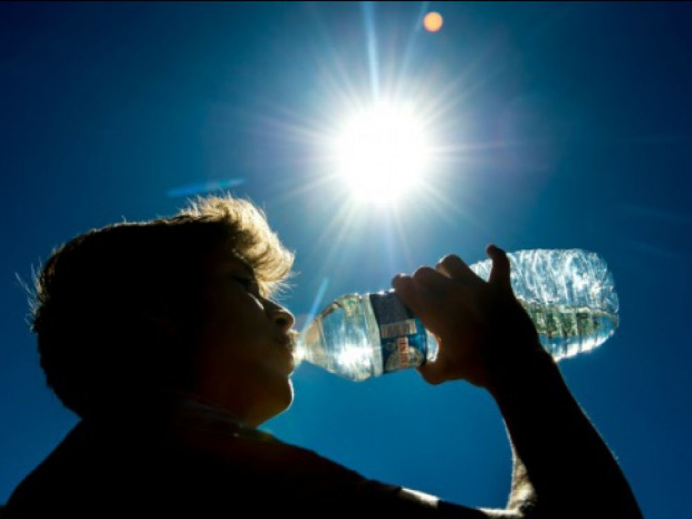 Canicule : les aliments à privilégier et ceux à éviter