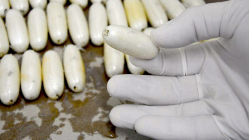 Tunisie: 21 ans de prison pour un groupe de femmes qui ont transporté des capsules de cocaïne dans leurs intestins