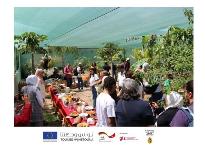 Lancement de “Harissa Diari”, circuit autour de ce condiment national