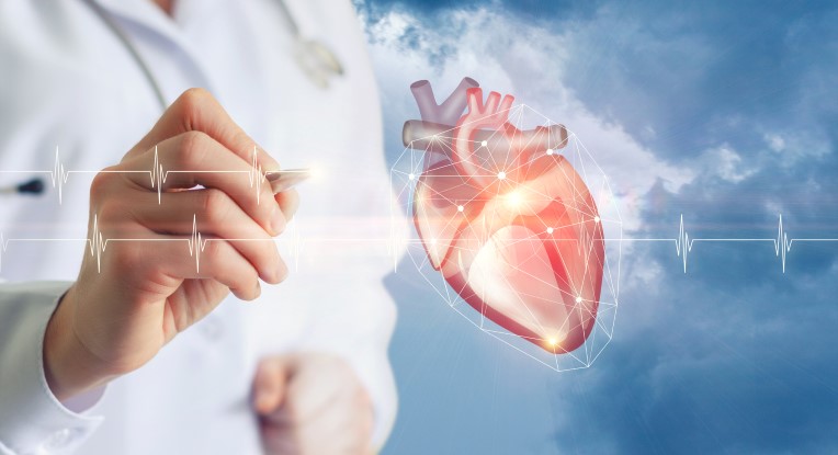 Neuvième congrès de l’association de cardiologie à Djerba