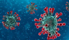 Coronavirus : la répartition par région des 13 cas confirmés