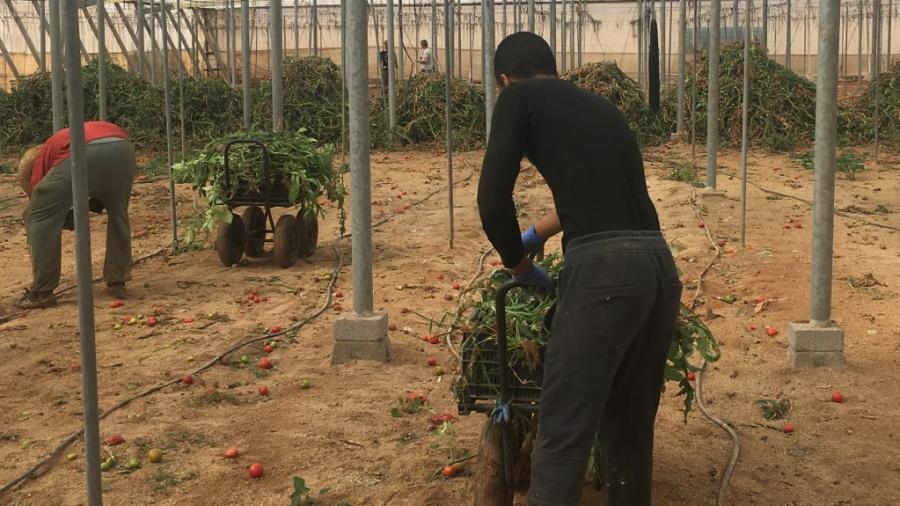 Aides sociales: En Europe, des travailleurs étrangers recrutés pour de courtes durées cotisent sans en bénéficier