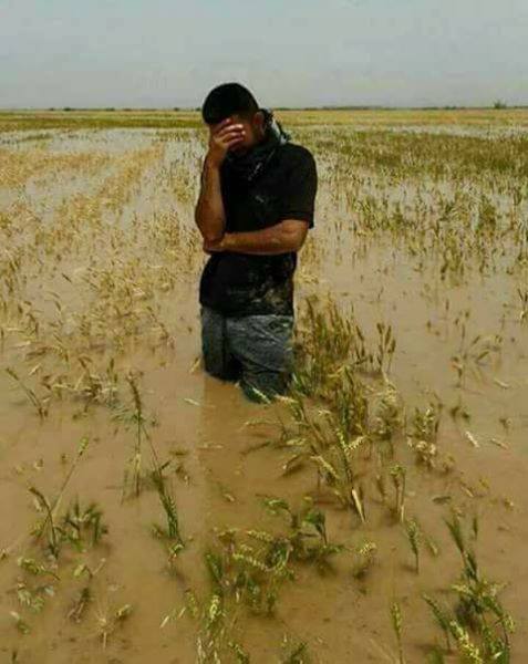 Le désarroi d’un jeune agriculteur du Kef
