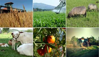 La grève du secteur agricole annulée