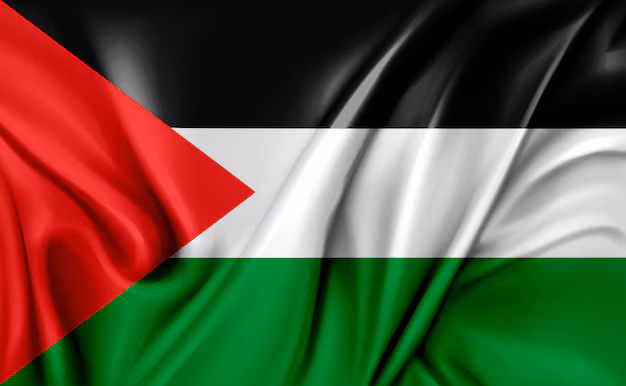 Réseaux sociaux : Le rôle de Meta dans la guerre contre Gaza dénoncé