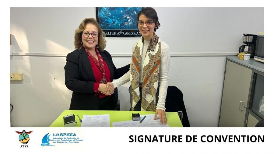 Biodiversité : Partenariat scientifique pour la protection des élasmobranches en Tunisie