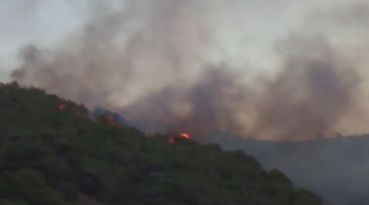 Ariana: Incendie au parc Ennahli maîtrisé