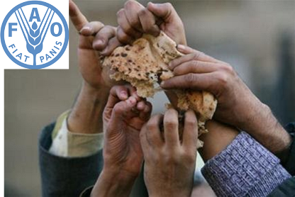 Vingt millions de personnes pourraient mourir de faim dans les six prochains mois, selon la FAO
