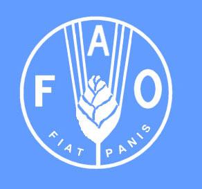 La société civile se prépare pour la Conférence sur la nutrition