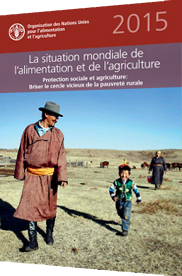 FAO: La Tunisie parmi les pays le moins touchés par la pauvreté en Afrique