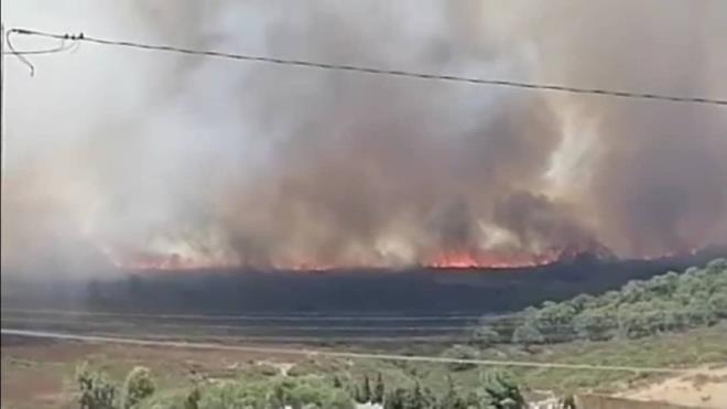 Bizerte : Incendie de forêt à Jebel Tamra, dans la délégation de Sejnane