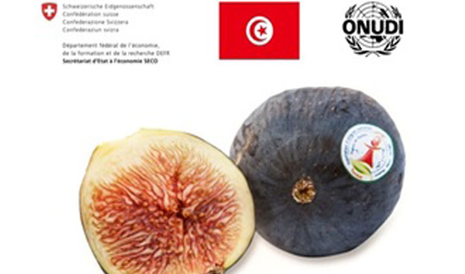 Tunisie: Les figues de Djebba, deuxième produit qui obtient la mention AOC