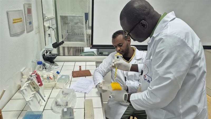 Maintenance médicale: Une formation triangulaire pour le renforcement des compétences africaines