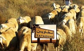 Tataouine: Les éleveurs de bétail face à la sécheresse et au manque de fourrage