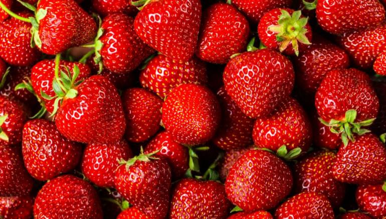 Fraises en Tunisie : les autorités sanitaires démentent les rumeurs et rassurent les consommateurs