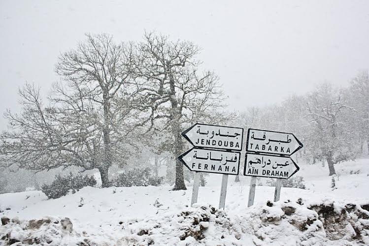 Vague de froid: Les habitants du Nord-Ouest s’inquiètent de l’absence de bois de feu