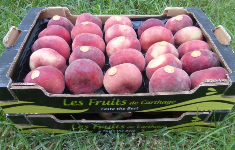 La société « FRUITS DE CARTHAGE »(PGH) certifiée IFS&BRC version 6
