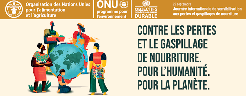 Gaspillage alimentaire : la Tunisie en tête du Maghreb avec 172 kg par personne et par an