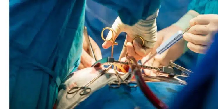 Tunisie: Plus de 1500 patients sur la liste d’attente pour une greffe de rein