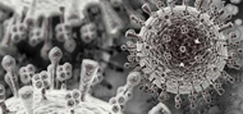 Rencontre d’experts sur la grippe en Tunisie à l’Institut Pasteur de Tunis