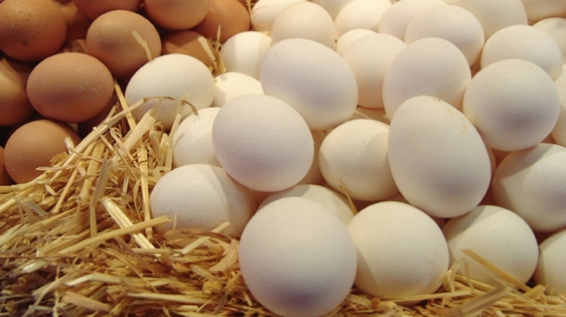 Le ministre de l'Agriculture: "Aucune augmentation du prix des œufs"