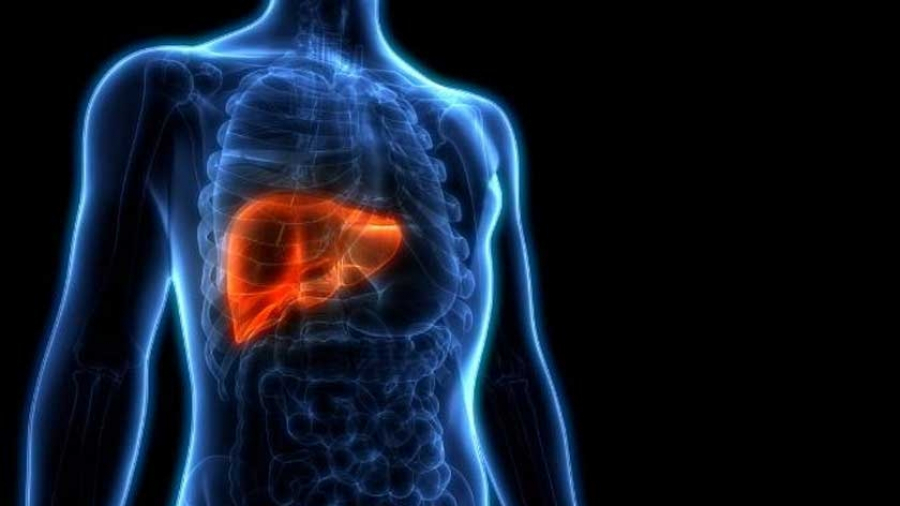 L'OMS recense 384 cas d'hépatite d'origine inconnue