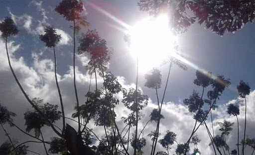 Alerte météo: Une hausse des températures prévue demain