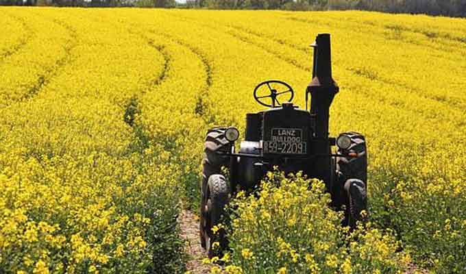 “CONECT Agri” appelle l’Etat à s’engager auprès des agriculteurs de la filière du colza