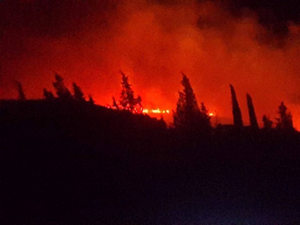 Le feu à Boukornine pourrait être de nature criminelle