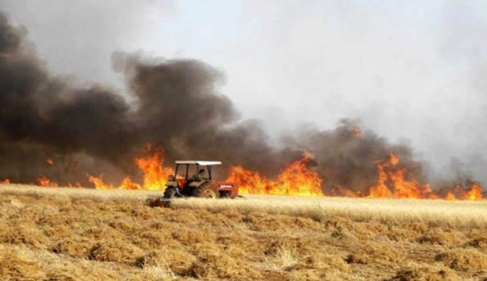Béja : Maîtrise d’un incendie ayant ravagé 5 hectares de cultures céréalières à Amdoun
