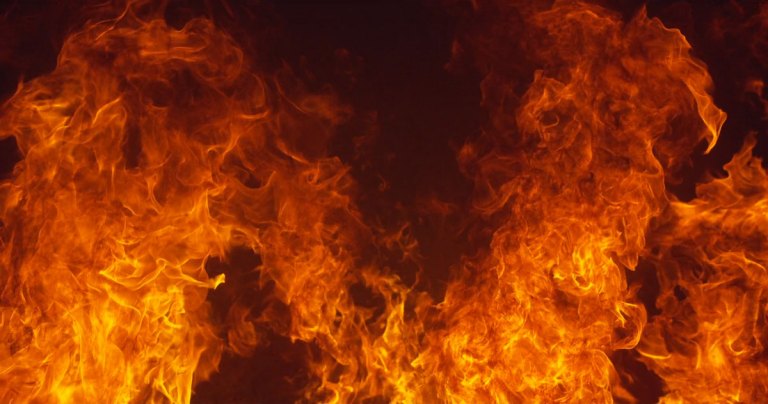 Tunisie : Plus de 700 incendies enregistrés en ce mois de Mai