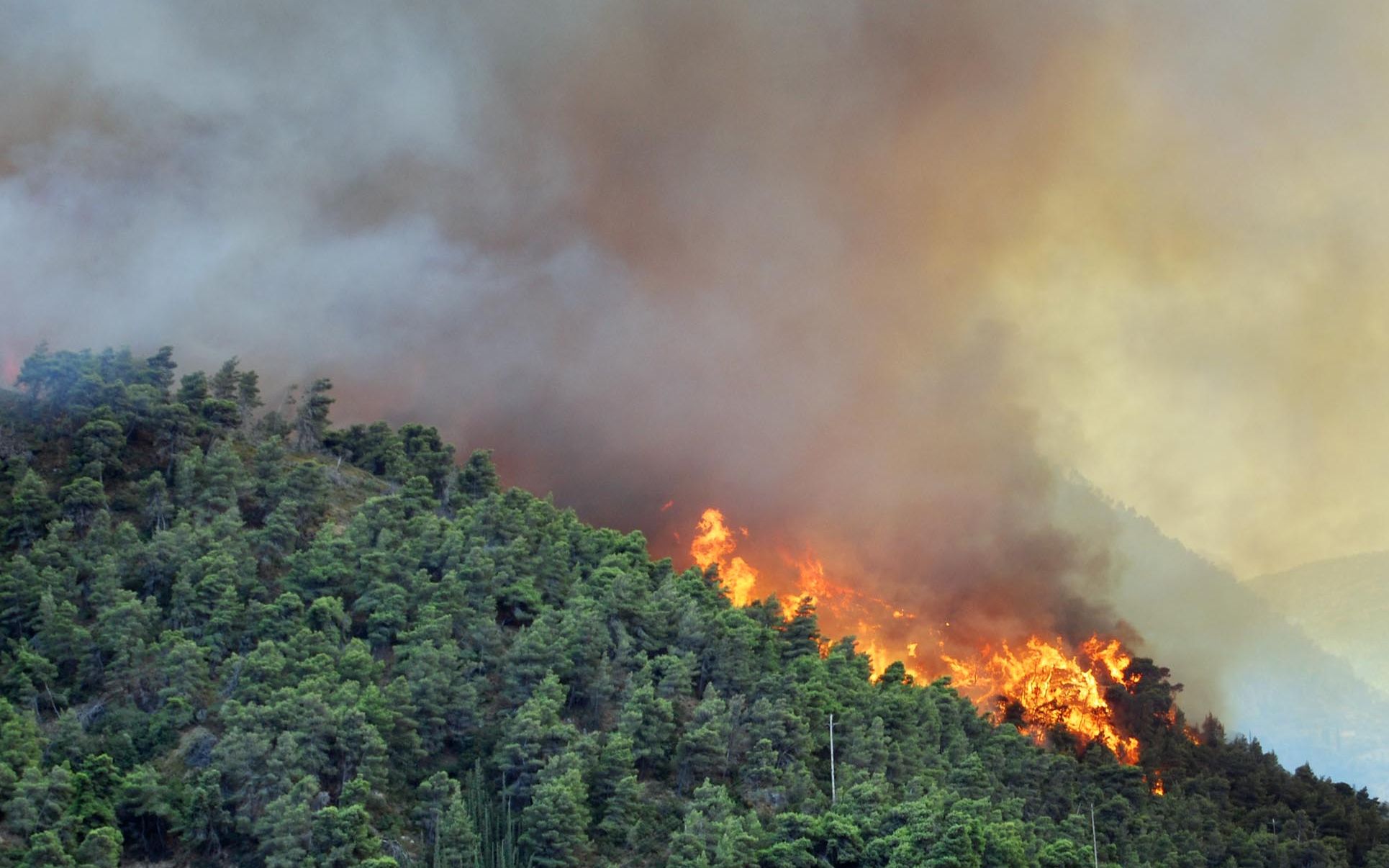 Gigantesque incendie à Sakiet Sidi Youssef