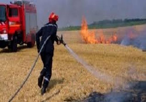 Protection civile : 96% des incendies en agriculture sont dus à des « facteurs humains »