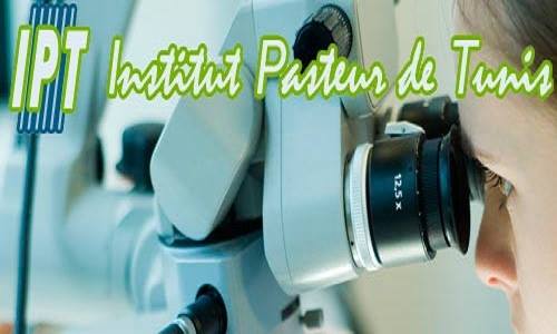 L'Institut Pasteur de Tunis lance un appel à consultation au profit des associations tunisiennes
