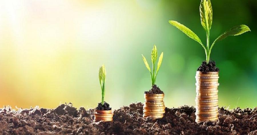 APIA : Baisse de 28,4% des investissements agricoles privés approuvés à fin septembre 2024