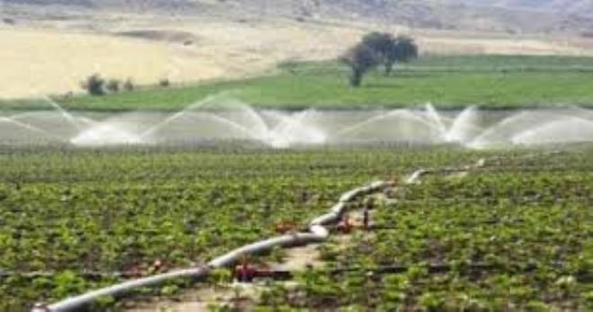 Lancement du projet d'intensification de l'agriculture irriguée, cofinancé par la BM