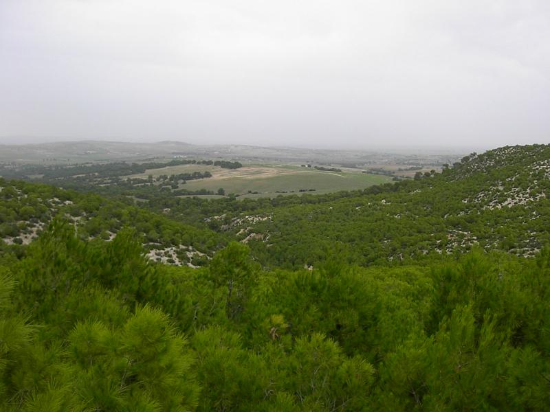 El-Fahs : Récupération de 4 terrains agricoles d’une superficie de 228 ha