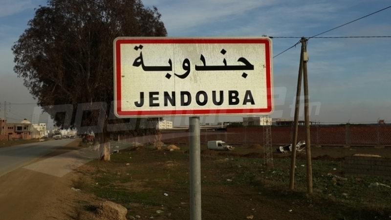 Jendouba: Les indicateurs touristiques en hausse de plus de 45%