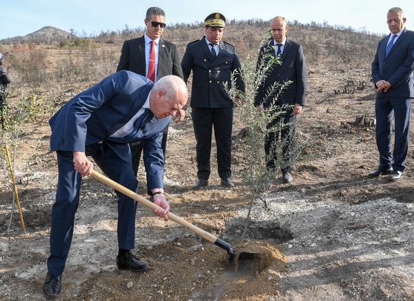 Fête de l’arbre : Le président Saïd plante un olivier à Boukornine