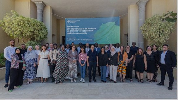 Agriculture durable : la FAO outille les encadrants pour soutenir les agri-entrepreneurs