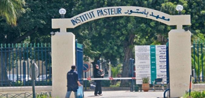 Vaccination: L'Institut Pasteur informe les candidats à la Omra