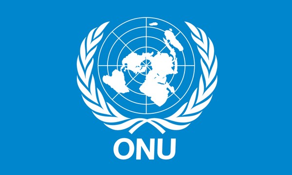 Comité des droits palestiniens: L'État de Palestine demande que 2017 soit « l’Année internationale de la fin de l’occupation israélienne »