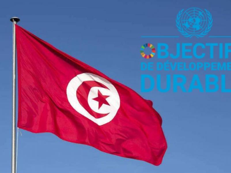 Programme onusien pour l’aide au développement 2021- 2025 de la Tunisie