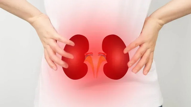 Tunisie: Les maladies rénales touchent 9 % de la population 